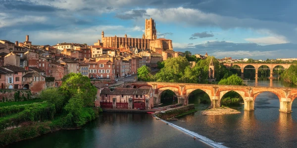 Albi
